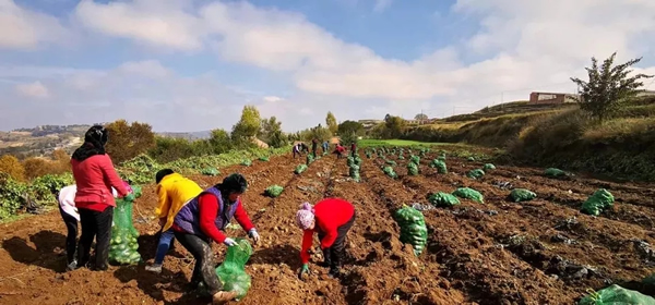 201910301572426855140404.jpg 640.webp.jpg