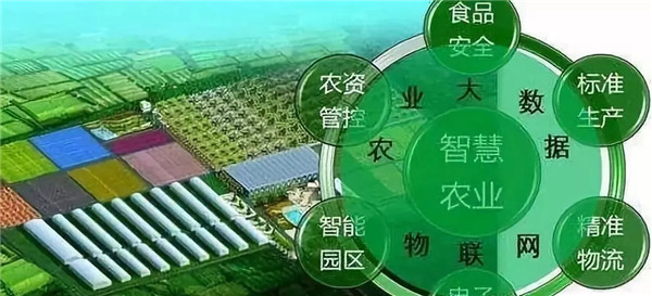 202002071581038883373946.jpg 640.webp (5).jpg