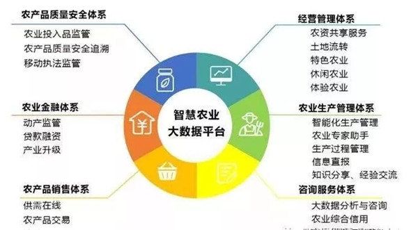 202002071581038922829136.jpg 640.webp (7).jpg