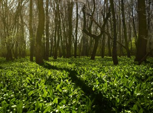 訪農戶，送技術！ “中國農資”現代農業服務團隊助力秋糧生產
