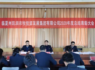 回首凝心聚力 展望未來(lái)可期 ——州農(nóng)投公司召開2020年度總結(jié)表彰大會(huì)