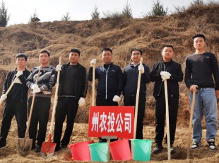 臨夏州凱潤農(nóng)牧投資發(fā)展集團有限公司參加2021年春季義務植樹活動